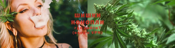 гашик Белокуриха