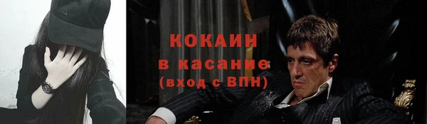 гашик Белокуриха